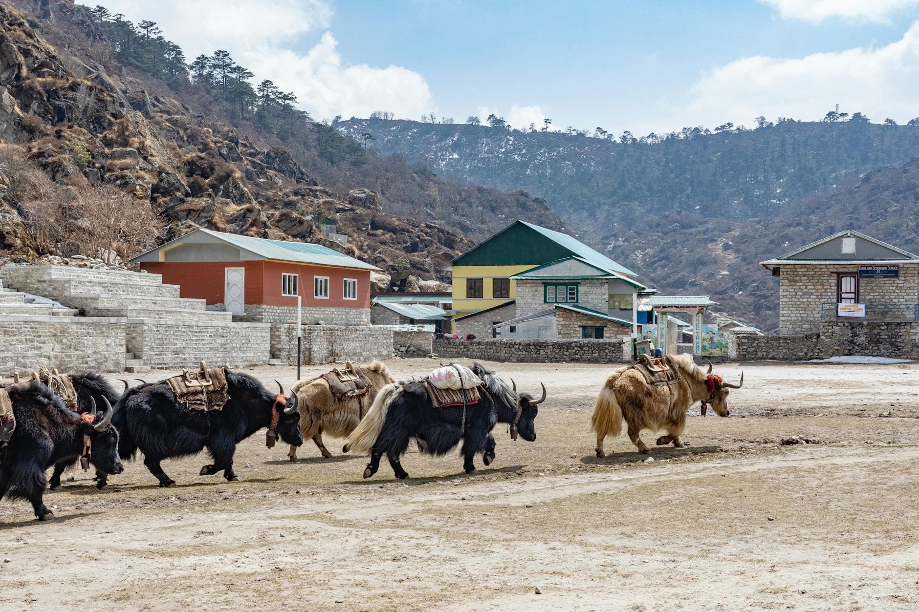 Langtang-Tal-Trek