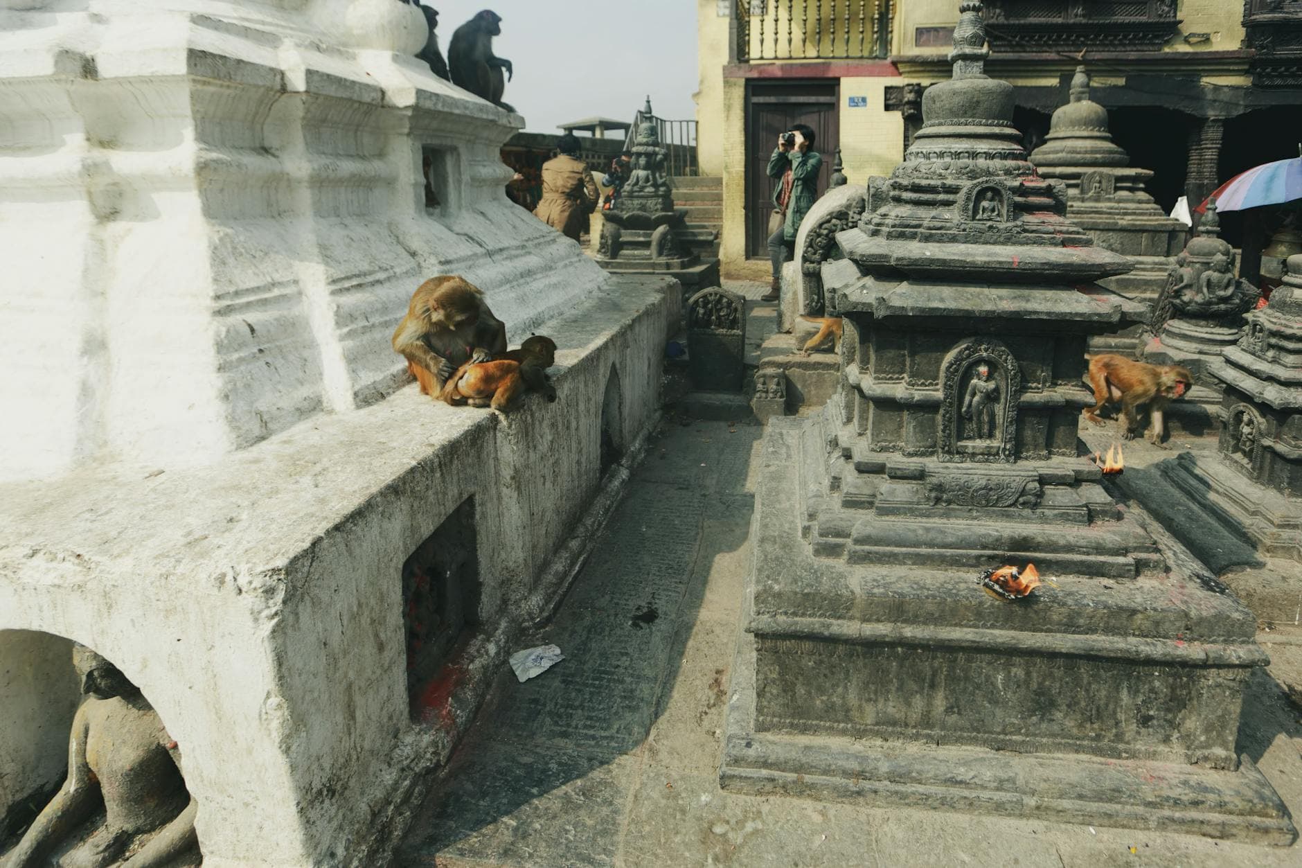 Swayambhunath (Templo de los Monos), Kathmandu