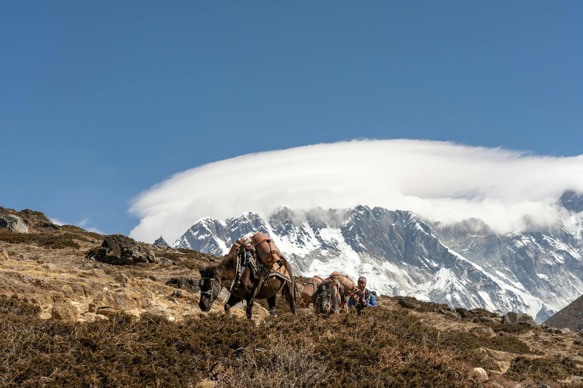 Langtang-Gosainkund-Helambu-Trek